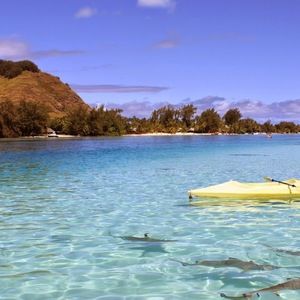 Meet your Posher, Amal